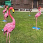 Flamingo Ringo | Mobiler Deluxe Spielpark Events4Rent