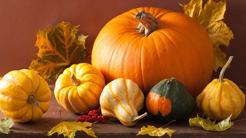 Firmenevent Herbst 2025 | Events4Rent