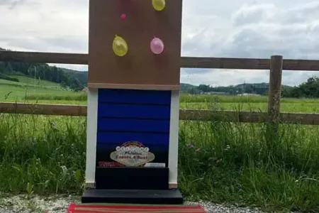 Ballon Darts | Deluxe Spiele Events4Rent