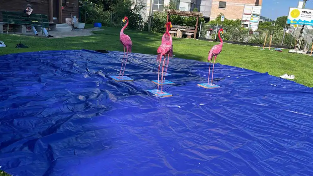 Flamingo Ringo | Deluxe Spiele Events4Rent