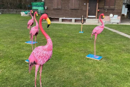Flamingo Ringo | Deluxe Spiele Events4Rent