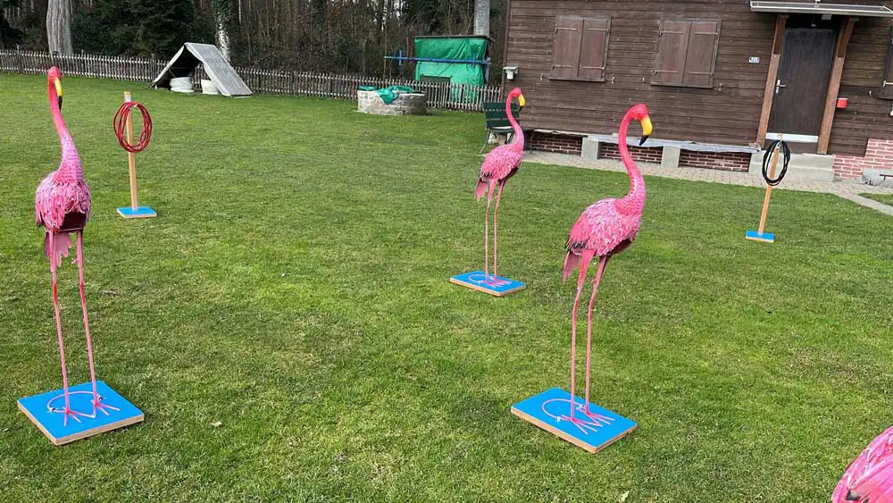 Flamingo Ringo | Deluxe Spiele Events4Rent