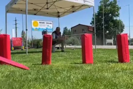 Stand Discgolf | Deluxe Spiele Events4Rent