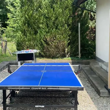 Tischtennis | Deluxe Spiele Events4Rent