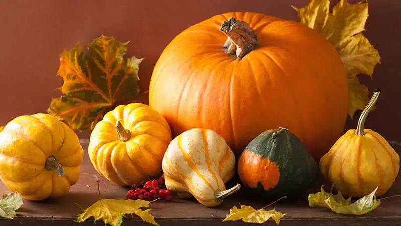 Firmenevents im Herbst | Events4Rent News